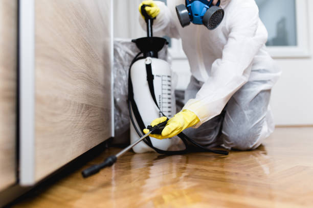 Best Commercial Pest Control Services  in Aurora, MN