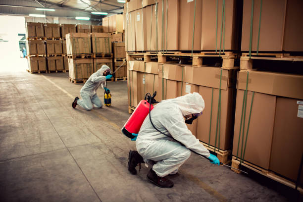 Best Mosquito Control Services  in Aurora, MN