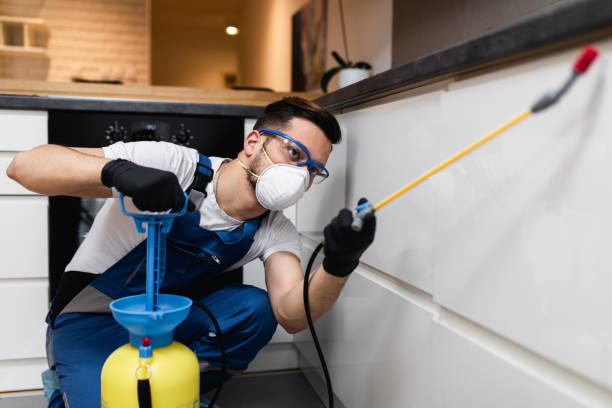 Best Pest Removal Services  in Aurora, MN