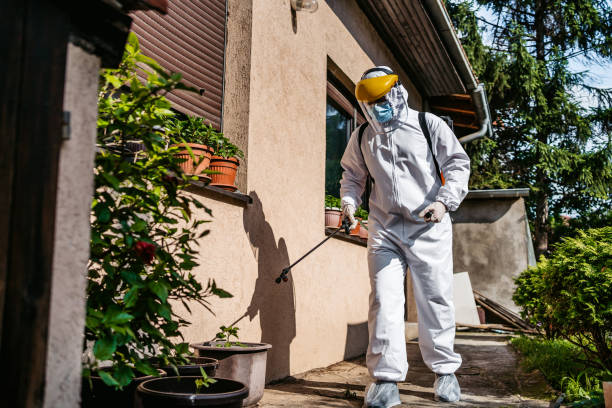 Best Residential Pest Control  in Aurora, MN