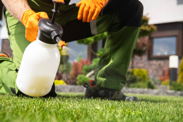 Professional Pest Control in Aurora, MN