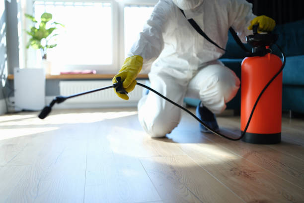 Pest Prevention Services in Aurora, MN