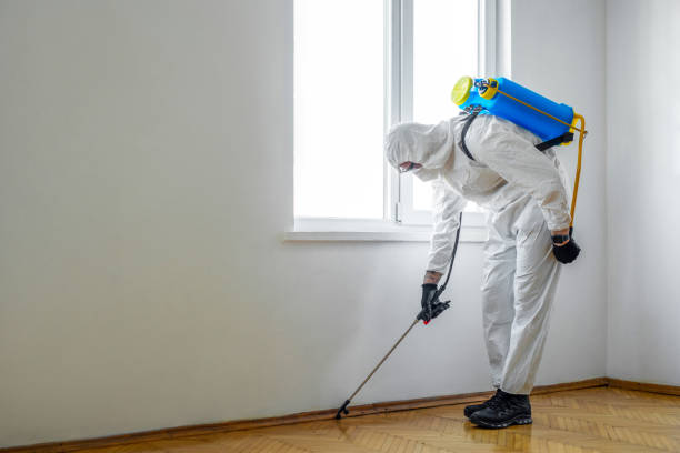 Best Insect Control  in Aurora, MN