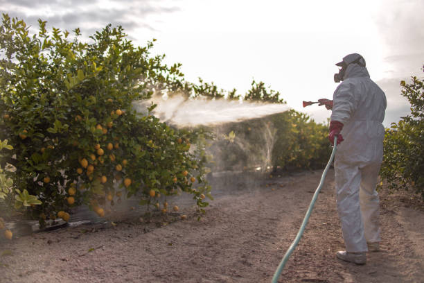 Best Bed Bug Extermination  in Aurora, MN
