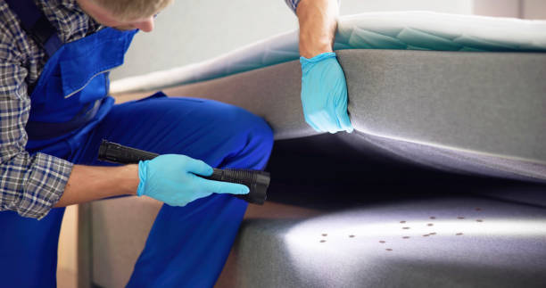 Best Ant Control Services  in Aurora, MN