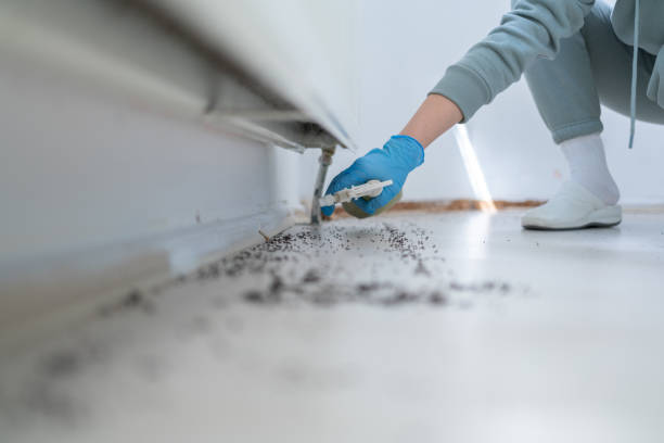 Best Pest Inspection Near Me  in Aurora, MN